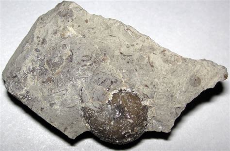 scott shale shaker mississppian limestone quary chester|southern mississippi rocks.